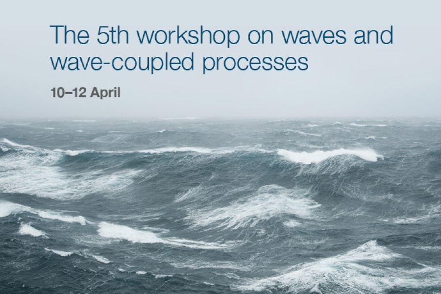 April 2024 workshop on waves and wave-coupled processes